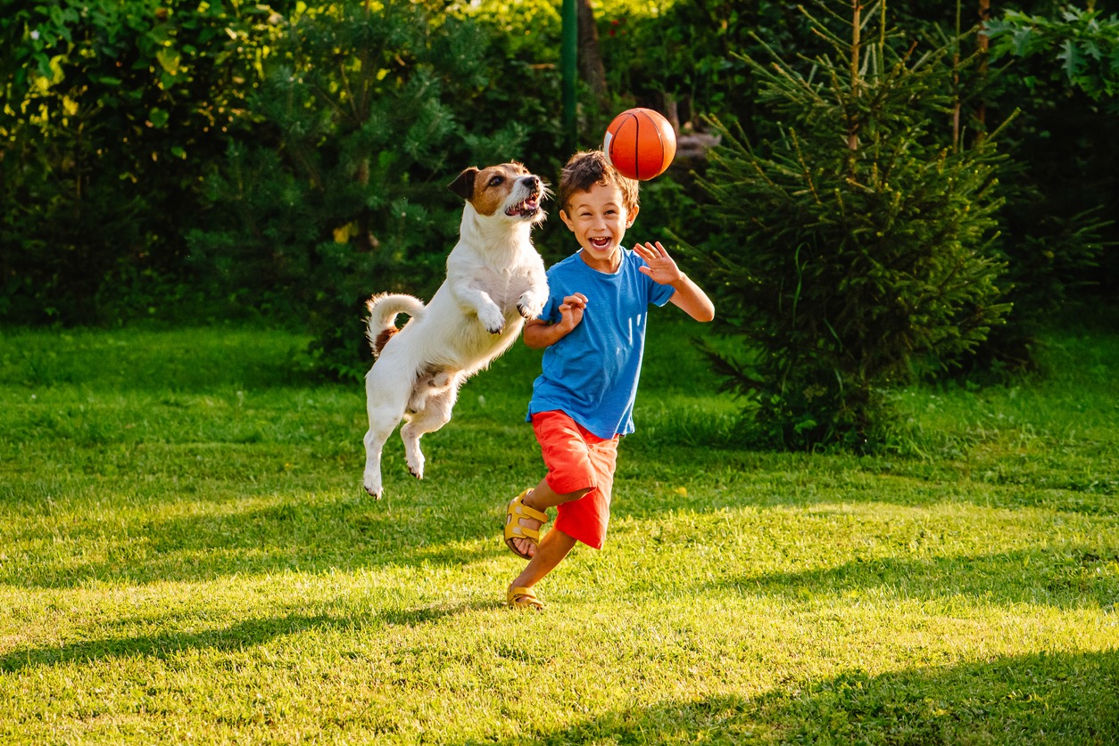 a young boy playing a ball with a dog outdoors
