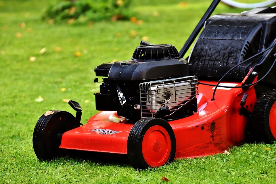 The 8 Don'ts of Lawn Care