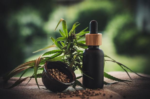 The Top Tips For Finding The Best CBD Oil Prices Online