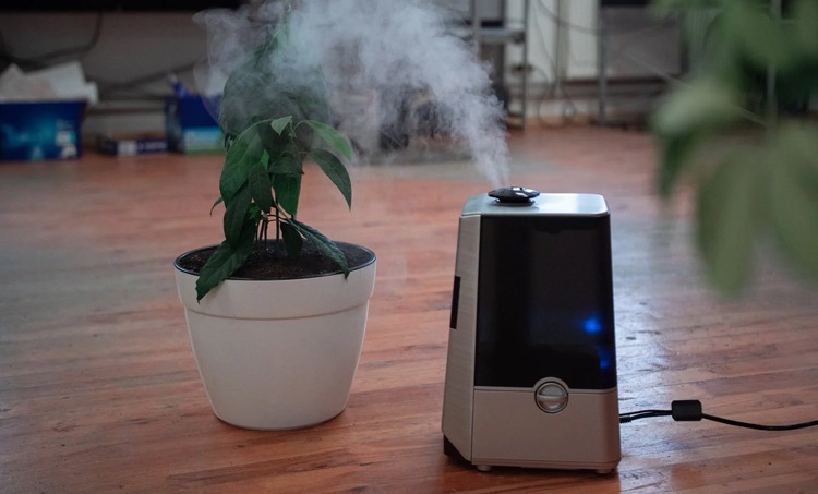 Air Purifier for Dust: Importance of Breathing Clean Air at Home