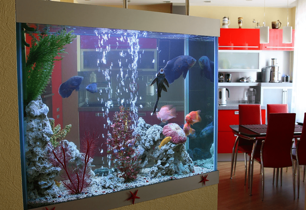 Aquarium glass shelf