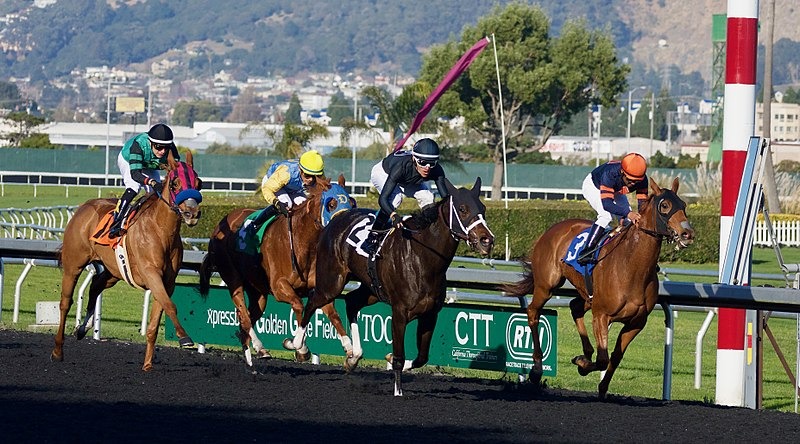 Horse racing at Golden Gate Fields, 2017 image