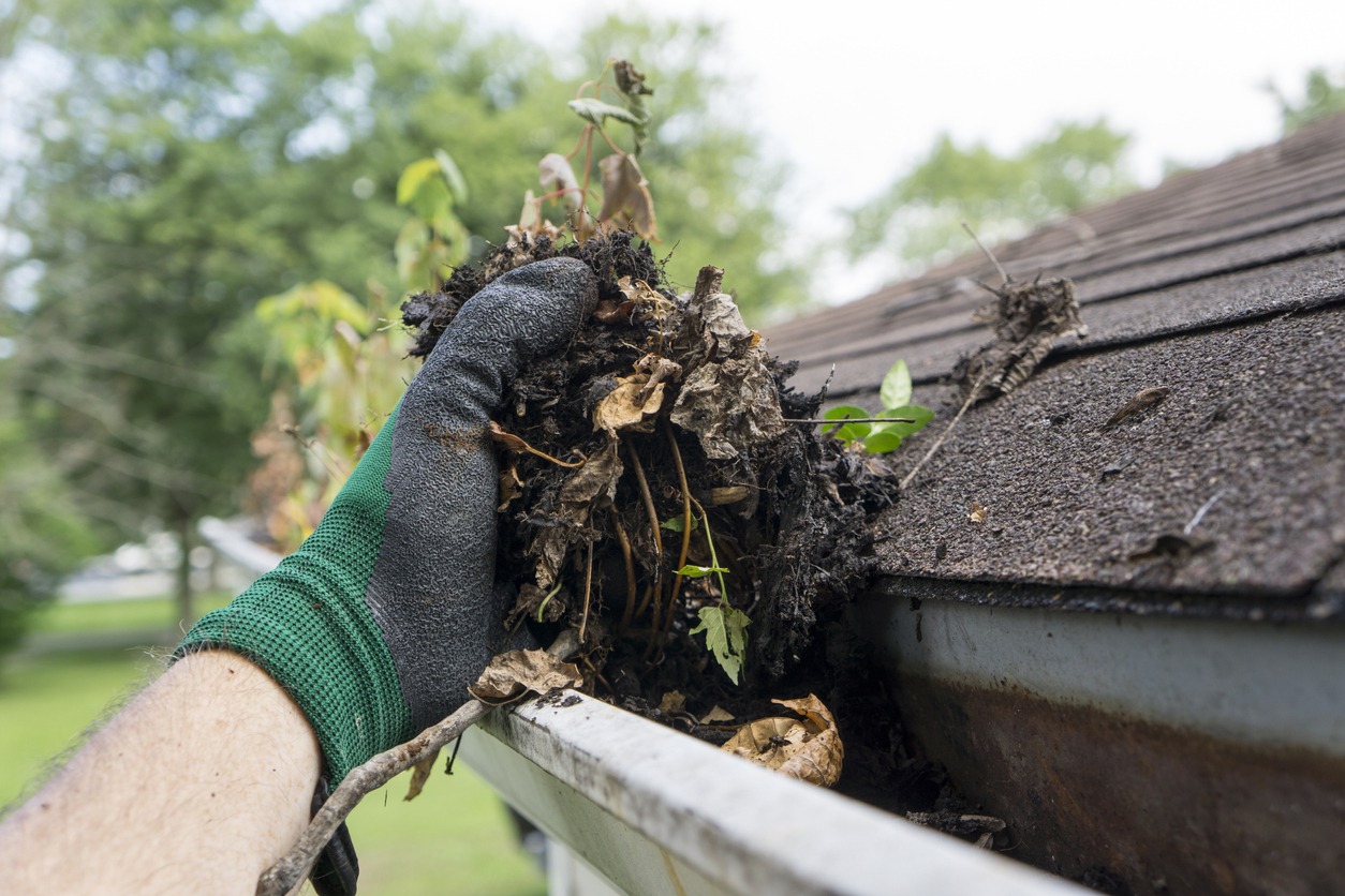 Tips for Maintaining Your Gutters