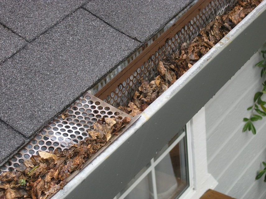 gutter filled with leaves