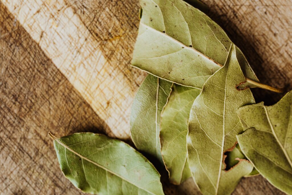 An Image of Bay Leaves
