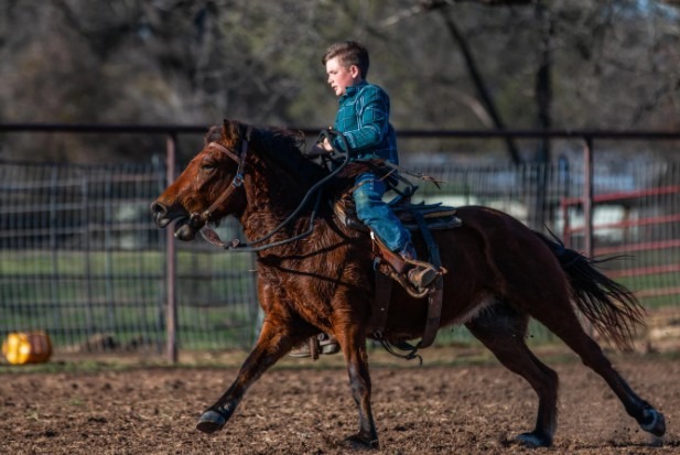 Top 6 Reasons to Sign Your Child Up for Riding Classes