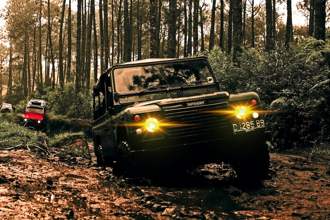 A jeep driving in the woods