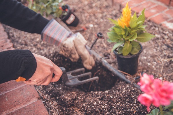 How to Upgrade Your Gardening Routine to Level Pro