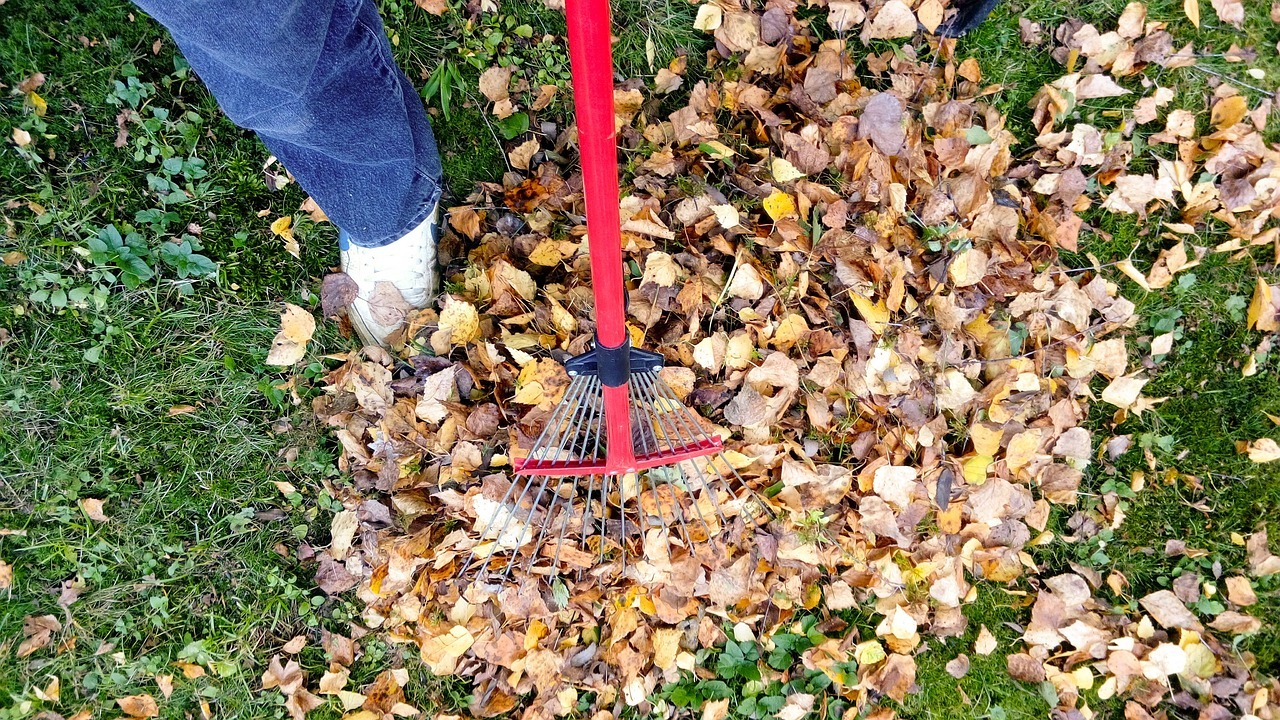 Raking fall autumn rake leaf image
