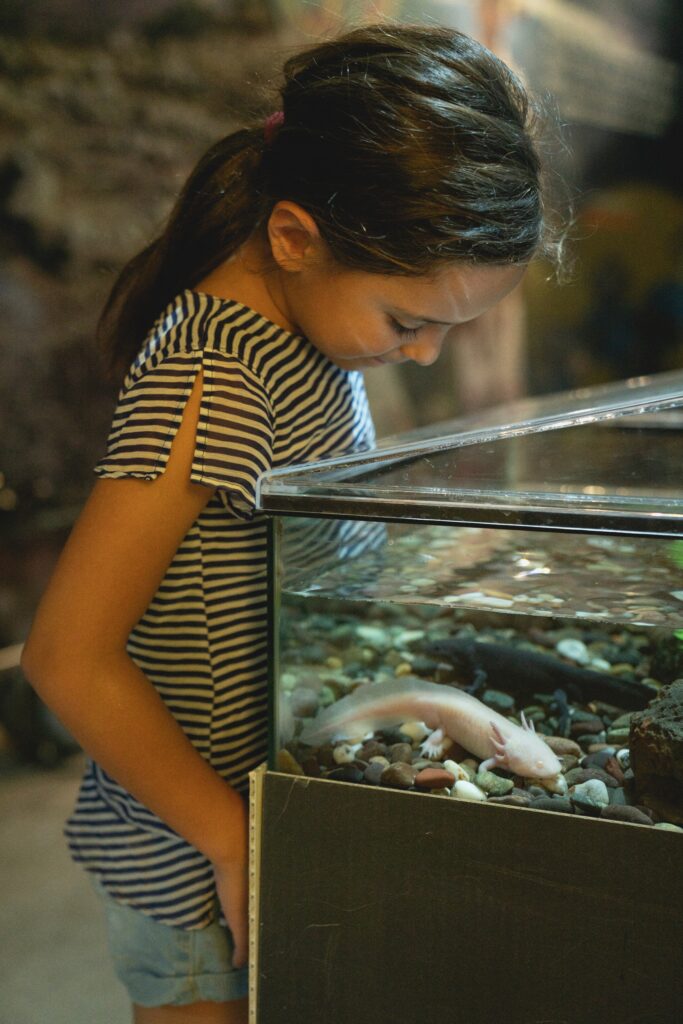 A Kid Looking Down At An Axolotl image
