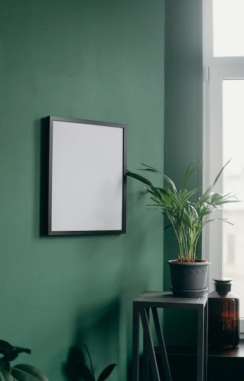 A blank frame on a green wall