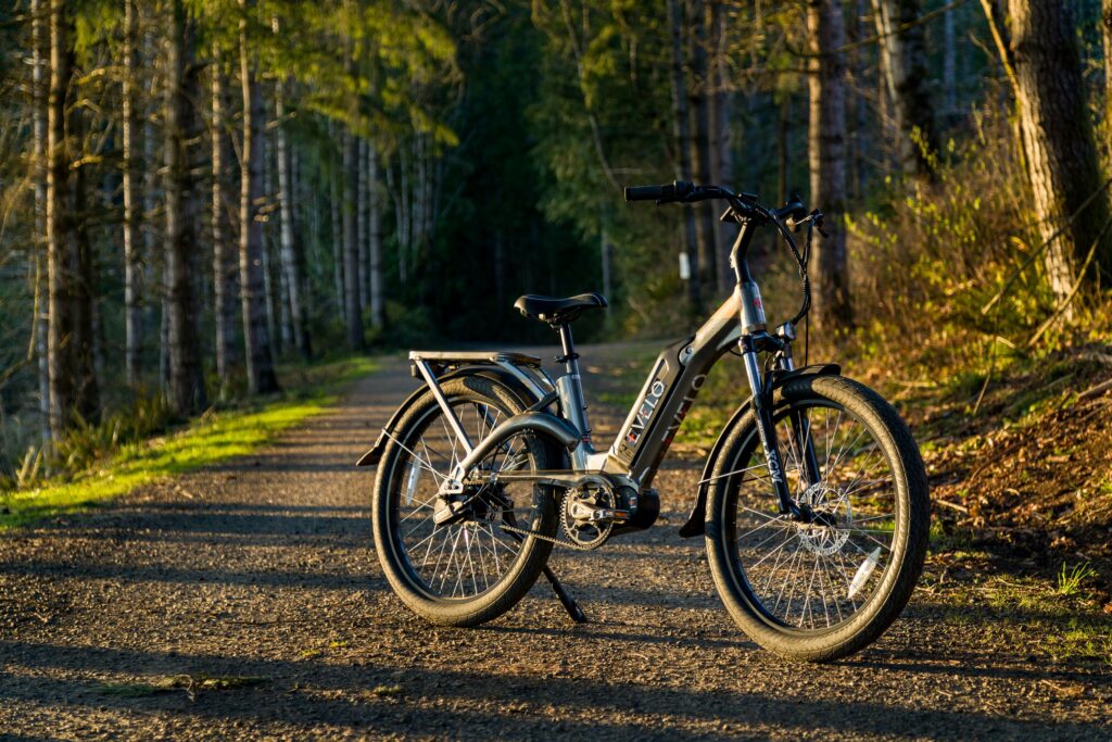 e-bike in the woods