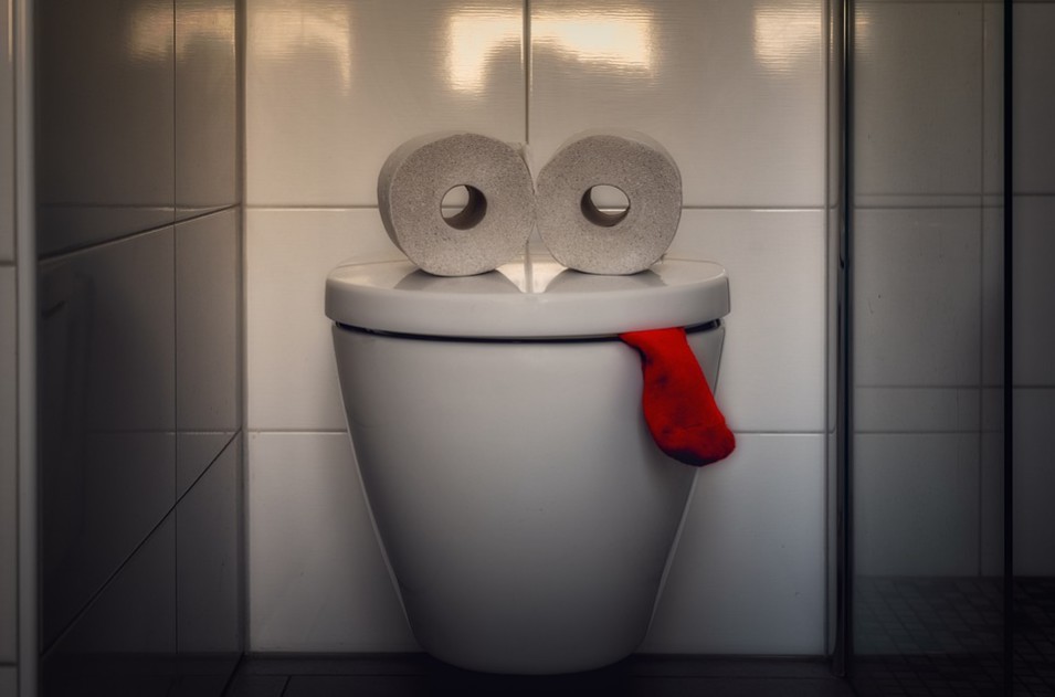 6 Things That Should Never Ever Go Down Inside Your Toilet