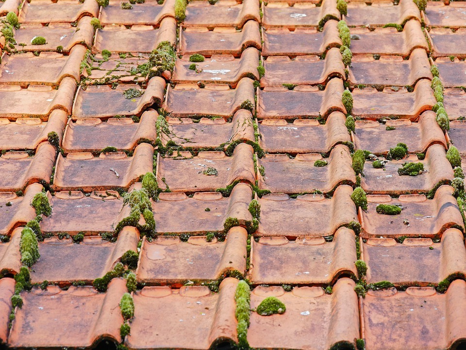old-roof-roof-tiles image