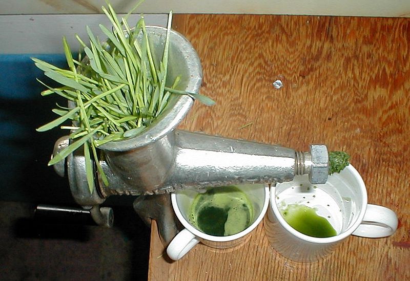 Manual wheatgrass juicer image