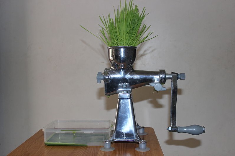 What Are The Best Juicers for Wheatgrass