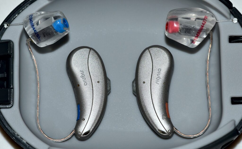 Hearing aids in their case