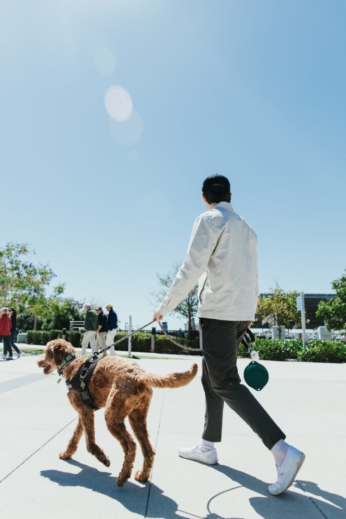 An image showing a Man walking dog