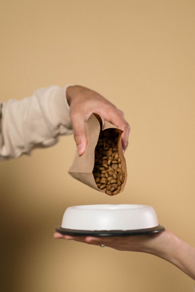 A person pouring dog food into a dog bowl image