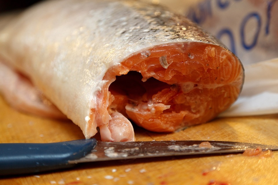 raw-food-fish-salmon image
