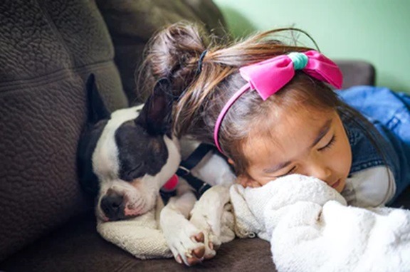 How To Choose The Perfect Dog Breed For Your Kids