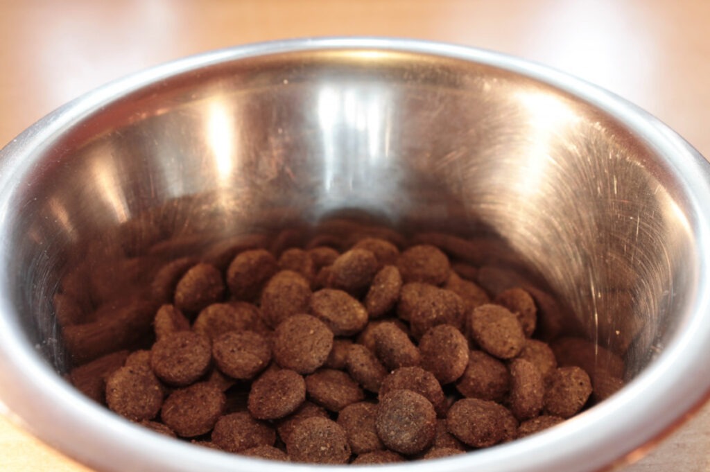 a bowl of dry cat food image