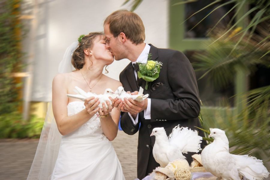 7 Tips to Help You Find the Perfect Wedding Photographer