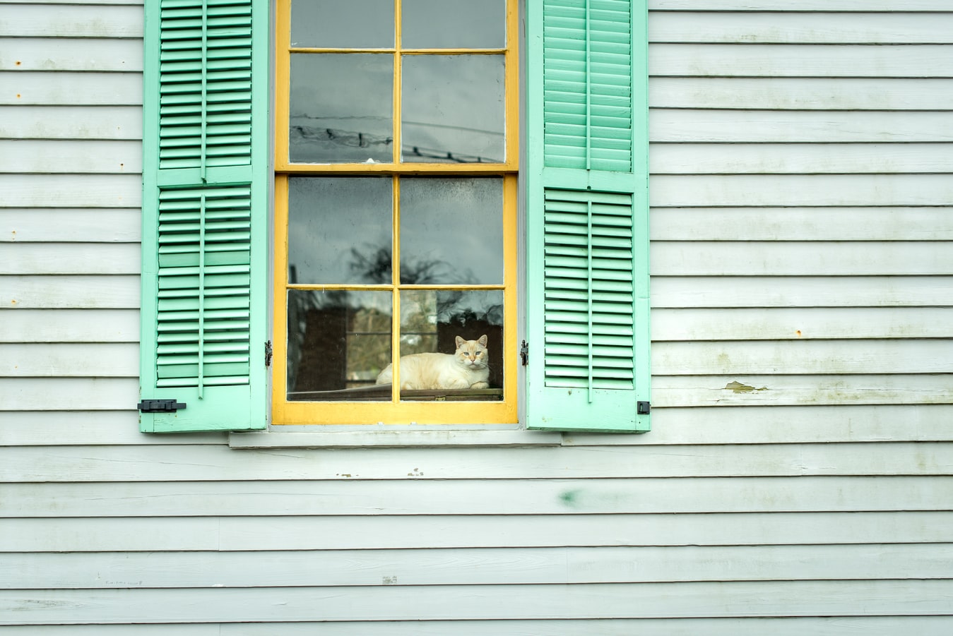 Different types of shutters you can use for your windows