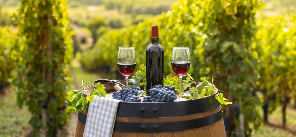 A glass of red wine poured into glasses on top of a barrel outdoor in a Bordeaux vineyard