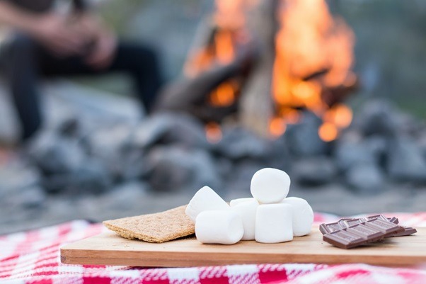 Try a camping-themed party