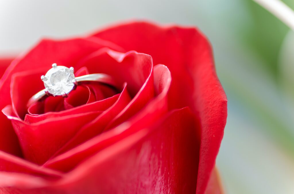 An engagement ring on top of a rose