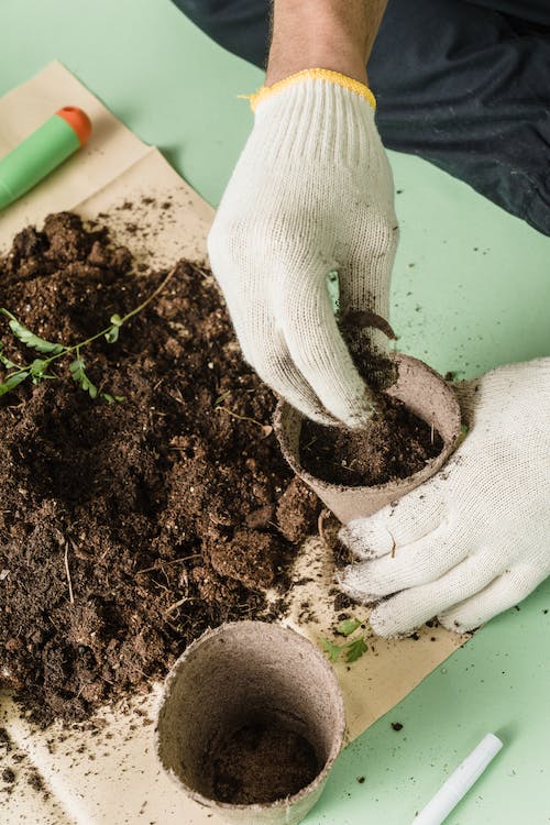 What Is a Compost and What Are Its Benefits?