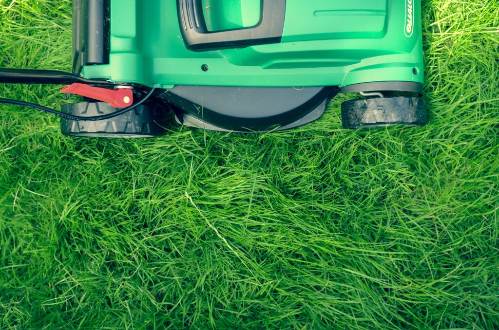 green and black lawnmower on green grass image
