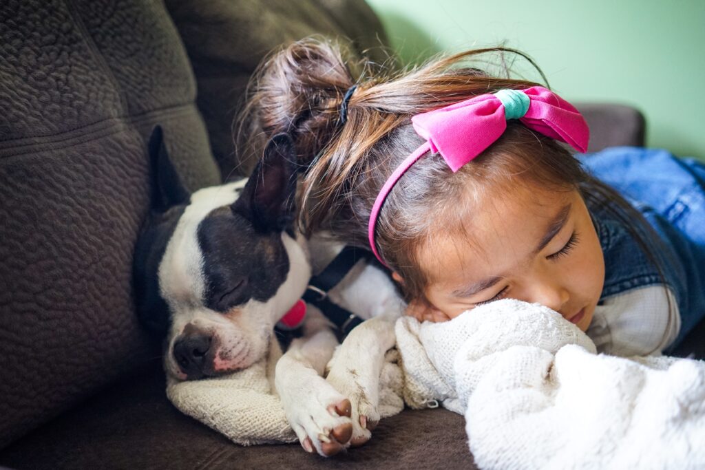 little girl and her dog image