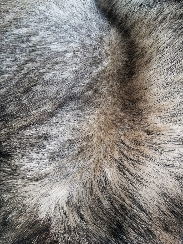  a close-up picture of a faux fur in black, gray and white image