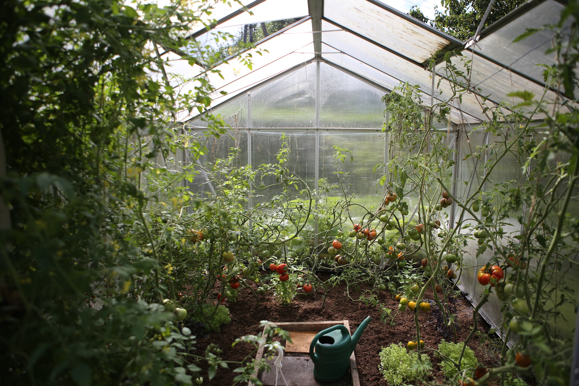 Greenhouse structures use the power of the sun to heat the room and allow for the growing season