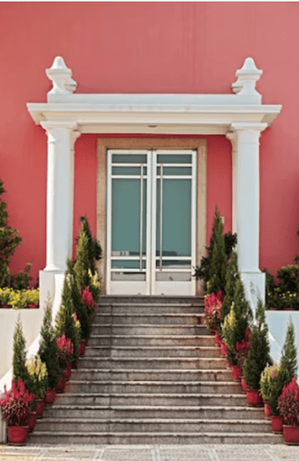 Home entrance with plantation and painted wall
