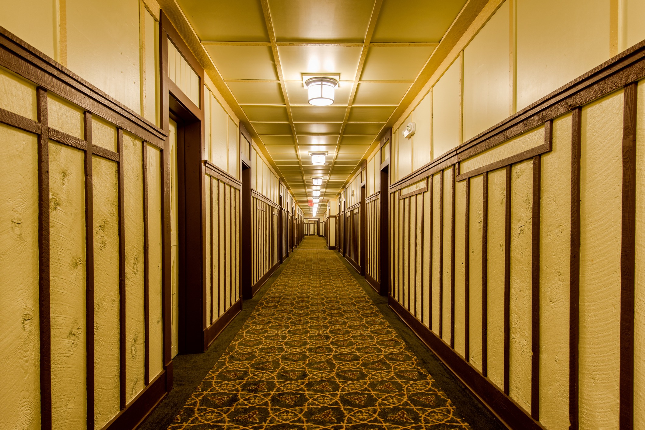 hotel carpet image