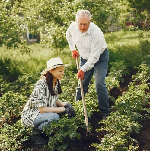 Gardening can be a beneficial activity that can aid you through the empty nest phenomenon