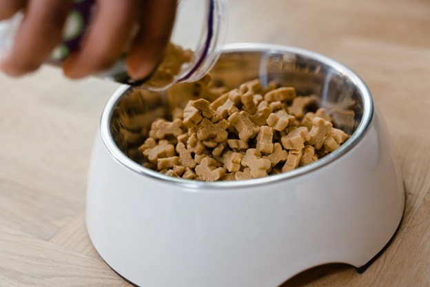 What You Need To Know Before Buying Dog Treat Jar