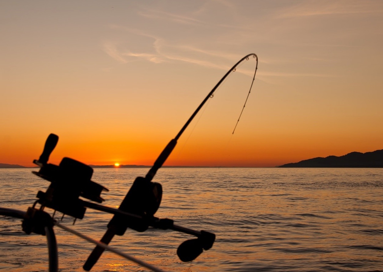 fishing rod sunset