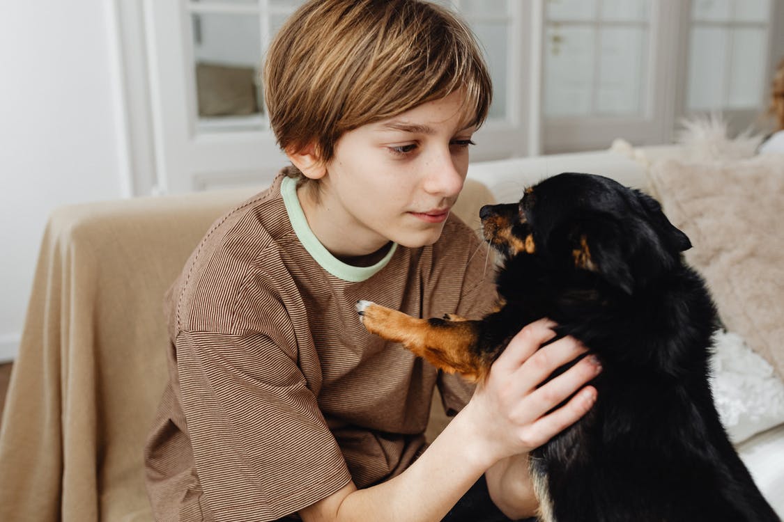 a boy holding a dog