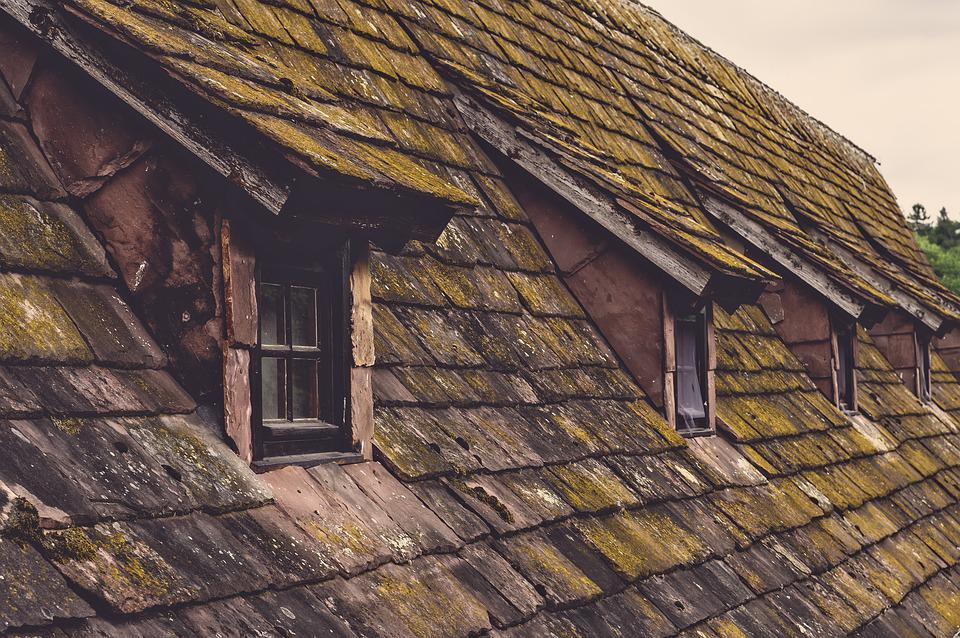 How To Deal With Moss On Roofing Shingles