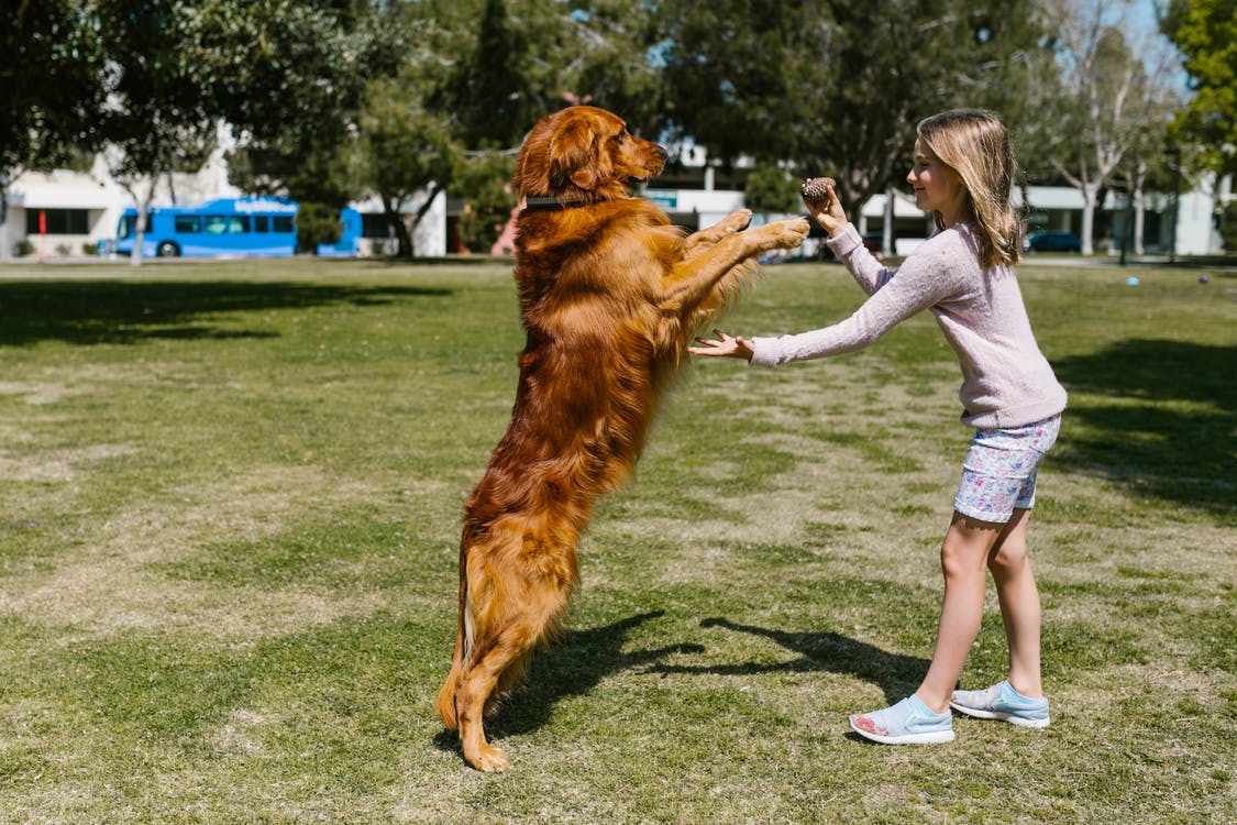 girl playing with a dog at the park