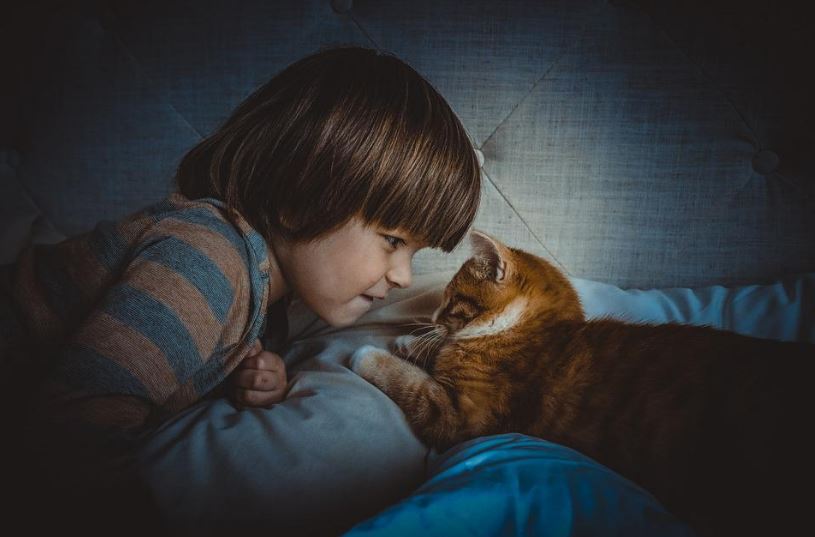 a boy playing with his pet cat