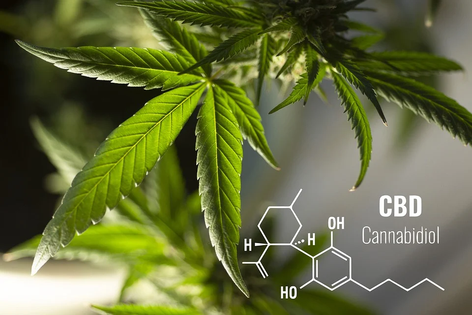 What Does CBD Feel Like 3 Main Things to Know