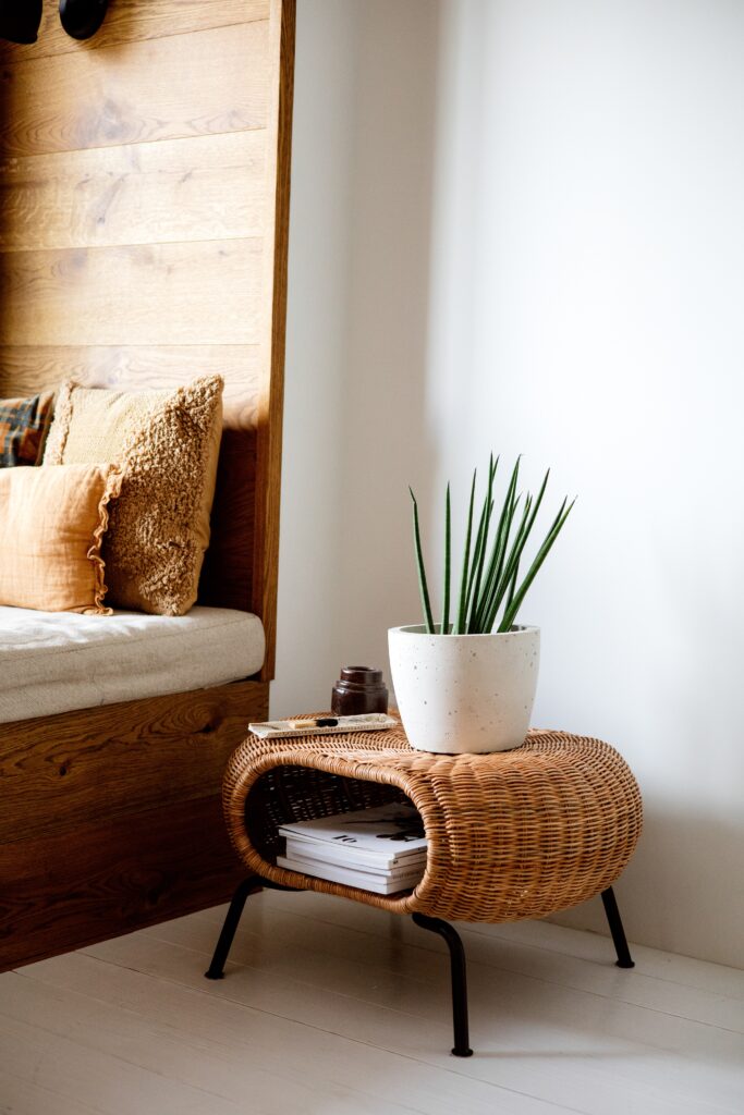 A Potted Plant on a Rattan Side Table