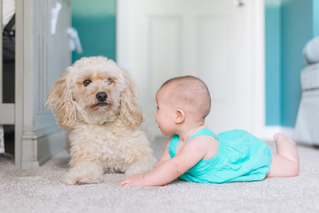  a child and a dog on a carpet image