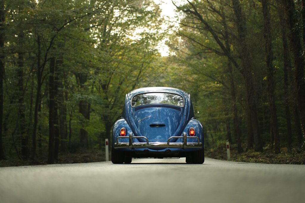 A vintage car in a forest image