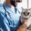 How to find the perfect vet Sutherland shire for your cat?